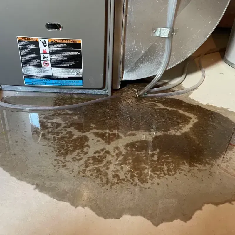 Appliance Leak Cleanup in Holdrege, NE